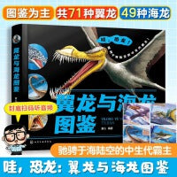 翼龙与海龙图鉴