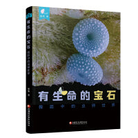 有生命的宝石——微距中的虫卵世界
