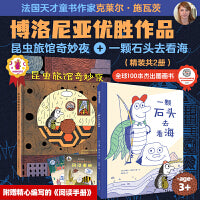 孩子越读越勇敢系列（精装2册）：昆虫旅馆奇妙夜+一颗石头去着海   全球100本杰出图画书 法国天才童书作家克菜尔·施瓦茨作品