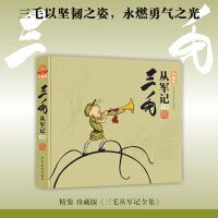 三毛从军记全集（珍藏版）