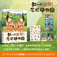 教一只猞猁忘记动物园