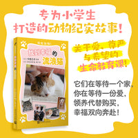 找到幸福的流浪猫（救救动物！）（它们在等待一个家，你在等待一份爱，领养代替购买，幸福双向奔赴！）