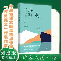 你来人间一趟