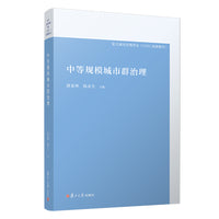 中等规模城市群治理