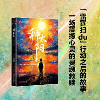 种太阳  “雷霆扫毒”行动之后的故事 一场震撼心灵的灵魂救赎 全景式纪实小说 题材罕见 人性善恶