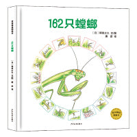 麦田精选图画书 162只螳螂