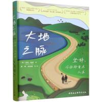 鼓楼新悦.大地之脉-（坚持，你终将重启人生）