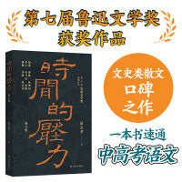 时间的压力（增订版）鲁迅文学奖获奖作品
