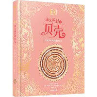 DK流光溢彩的贝壳