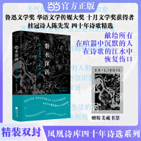 碧水深涡 陈先发四十年诗选 精装 鲁迅文学奖华语文学传媒大奖 十月文学奖获得者 桂冠诗人陈先发四十年诗歌精选 四十年诗选 凤凰诗库 当当自营图书