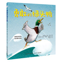 勇敢的绿头鸭