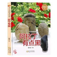 阿拉丁有点黑   手工大叔的奇妙世界系列绘本