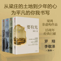梁鸿系列作品（全4册） 梁庄十年+中国在梁庄+出梁庄记+要有光 梁鸿非虚构经典 中信出版社