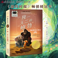国际大奖小说--独一无二的鲍勃