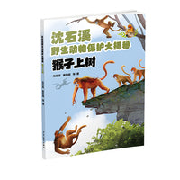 沈石溪野生动物保护大揭秘：猴子上树
