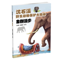 沈石溪野生动物保护大揭秘：象群漫步