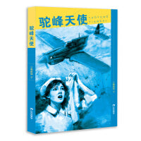 驼峰天使 驼峰航线 历史纪实小说  飞虎队 三环出版社正版书籍 爱国主义教育学生读物