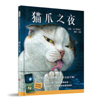 猫爪之夜