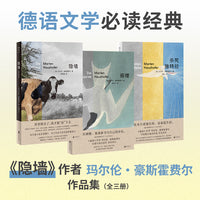 阁楼+隐墙+杀死施特拉 玛尔伦·豪斯霍费尔（套装全3册）（当当专供）外国文学小说