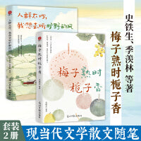 人群太吵我想去听旷野的风+梅子熟时栀子香（套装2册）