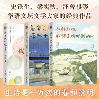 人群太吵，我想去听旷野的风+总有人间一两风，填我十万八千梦+梅子熟时栀子香（套装3册）