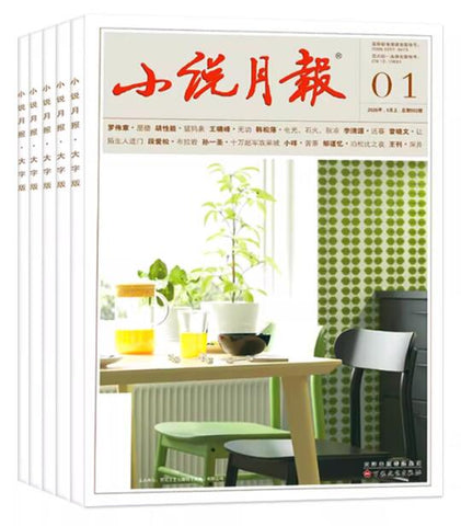 小说月报（全年 每期$11.58 共计12期 总价$139)