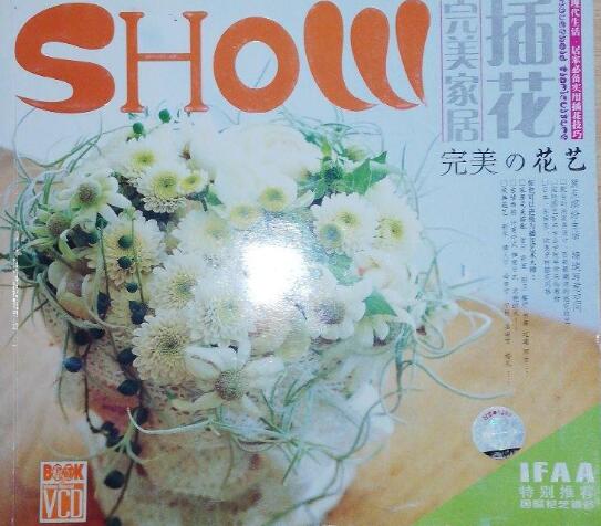 A01完美家居插花SHOW 完美花艺（附VCD)