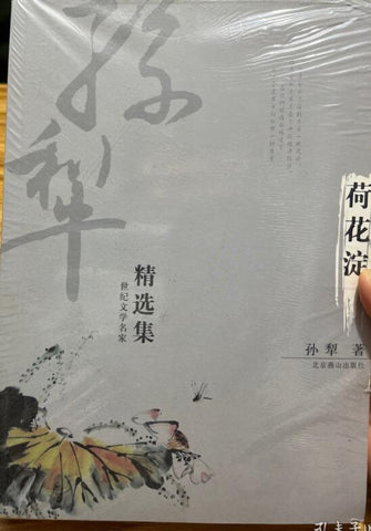 A01世纪文学名家精选集——荷花淀（孙犁）