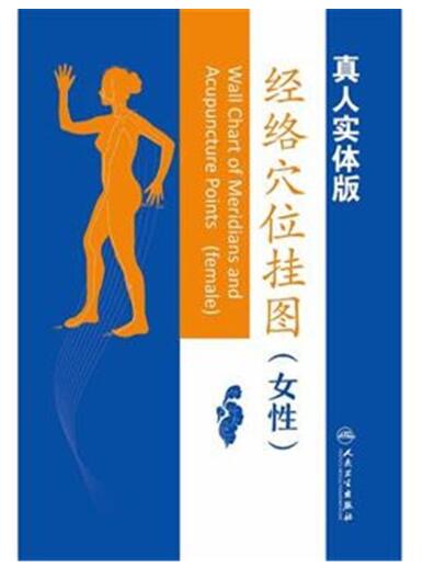 经络穴位挂图（女性版）