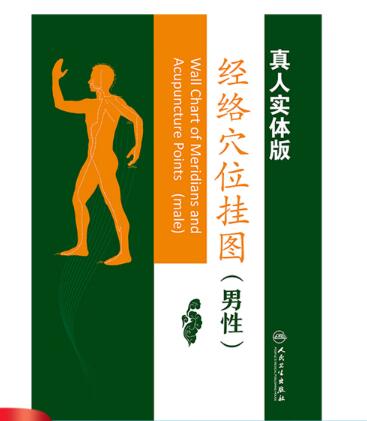 经络穴位挂图（男性版）