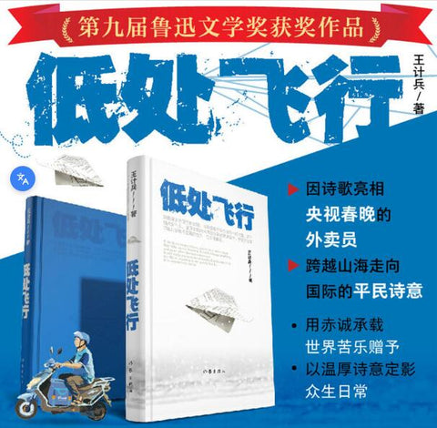低处飞行 外卖诗人王计兵诗集 第九届鲁迅文学奖获奖作品 2024央视《读书》精选年度好书