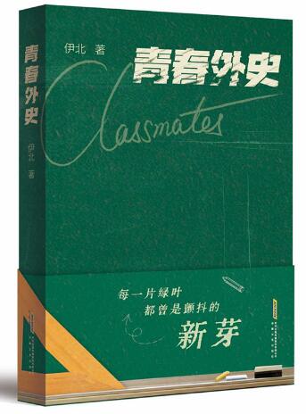 青春外史 央视热播剧 小芳 同款青春小说《青春外史》