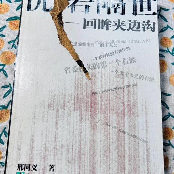 (九品)恍若隔世：回眸夹边沟