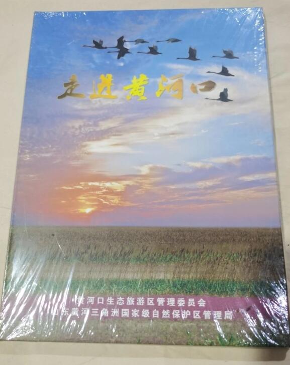 走进黄河口（DVD）