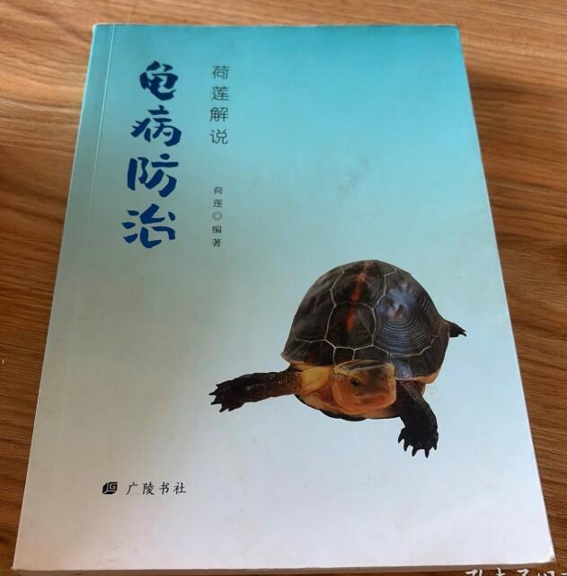 荷莲解说龟病防治（九品 有作者签名）